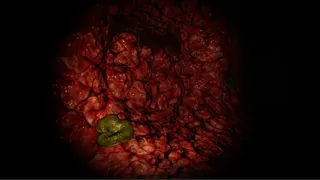 Скриншот 8 к игре Cave Of Horrors