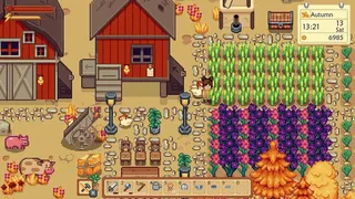 Скриншот 1 к игре Sunshine Farm
