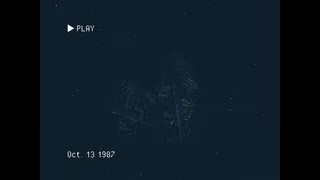 Скриншот 5 к игре REBORN