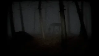 Скриншот 3 к игре The Grove