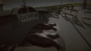 Скриншот 3 к игре [Southern Fjords] Newspaper Day