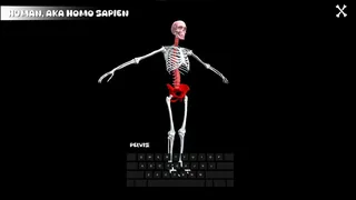 Скриншот 2 к игре BONLE