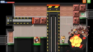 Скриншот 8 к игре AmaZoo