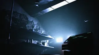 Скриншот 5 к игре PREDATORS