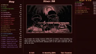 Скриншот 3 к игре Shadowed: The Demon Castle of Ooe