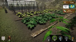 Скриншот 3 к игре Market Gardener