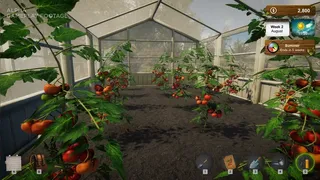 Скриншот 6 к игре Market Gardener