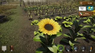 Скриншот 8 к игре Market Gardener