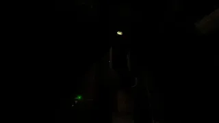 Скриншот 3 к игре Abyss Stares at You