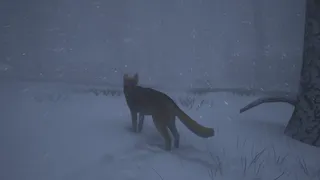 Скриншот 5 к игре The Good Dog: Chasing Shadows