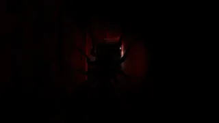 Скриншот 2 к игре Asylum of the Forsaken