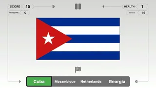 Скриншот 5 к игре Guess the Flag!