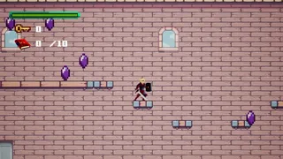 Скриншот 3 к игре Wandervania