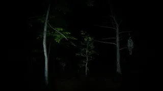 Скриншот 2 к игре Phobic Nightmares