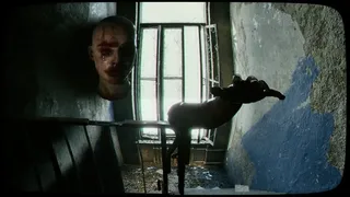 Скриншот 3 к игре Gorecam