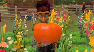 Скриншот 1 к игре Fear in the Facts Farms