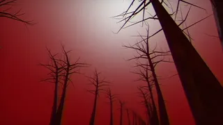Скриншот 2 к игре Quiet House Massacre