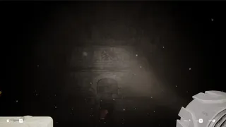Скриншот 1 к игре Echoing Silence
