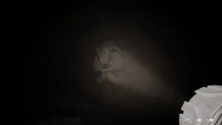 Скриншот 5 к игре Echoing Silence