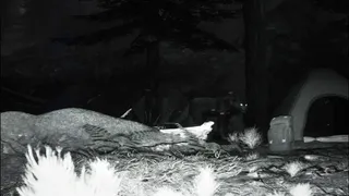 Скриншот 2 к игре TRAILCAM