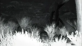 Скриншот 5 к игре TRAILCAM