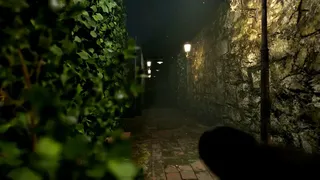 Скриншот 6 к игре Cursed Maze