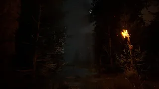 Скриншот 4 к игре The veil of the forgotten
