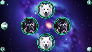 Скриншот 1 к игре Space Memory: Dogs