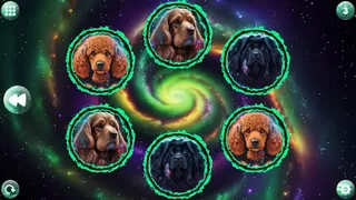 Скриншот 2 к игре Space Memory: Dogs