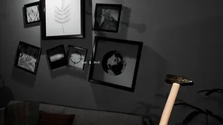 Скриншот 8 к игре Pet Cam