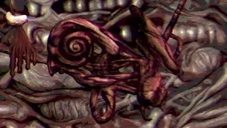 Скриншот 5 к игре Navicula Meatus