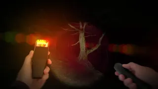 Скриншот 2 к игре Wychwood Hollow