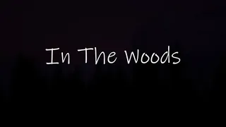 Скриншот 1 к игре In The Woods