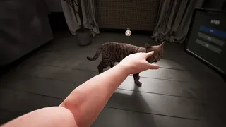 Скриншот 3 к игре 猫咪漂移 Cat Drift