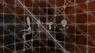 Скриншот 4 к игре My Inner Ear Quartet
