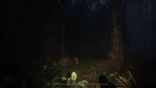 Скриншот 5 к игре Saci: The Cursed Hunt