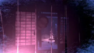 Скриншот 6 к игре Eternal Haunt