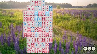 Скриншот 3 к игре Solitaire Flowerscapes