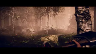 Скриншот 3 к игре Project Songbird
