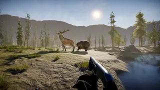 Скриншот 8 к игре The Lost Hunter