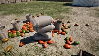 Скриншот 5 к игре Potatoes and Aliens