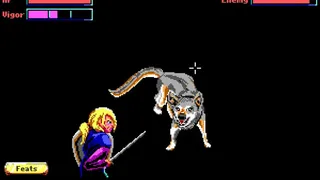 Скриншот 2 к игре Fortune and Glory