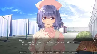 Скриншот 4 к игре Night Shift Nurses