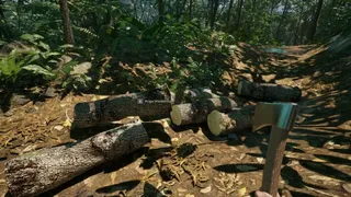 Скриншот 7 к игре Bandeirantes