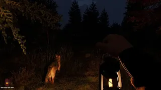 Скриншот 4 к игре Last Sighting