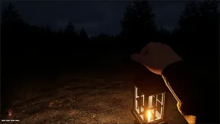 Скриншот 7 к игре Last Sighting