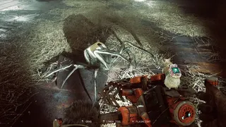 Скриншот 3 к игре ANIMAL USE PROTOCOL