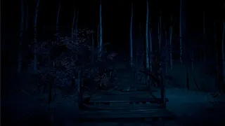 Скриншот 2 к игре The Duchess Curse