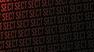 Скриншот 6 к игре SECT