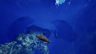 Скриншот 2 к игре ８月３２日の水族館VR